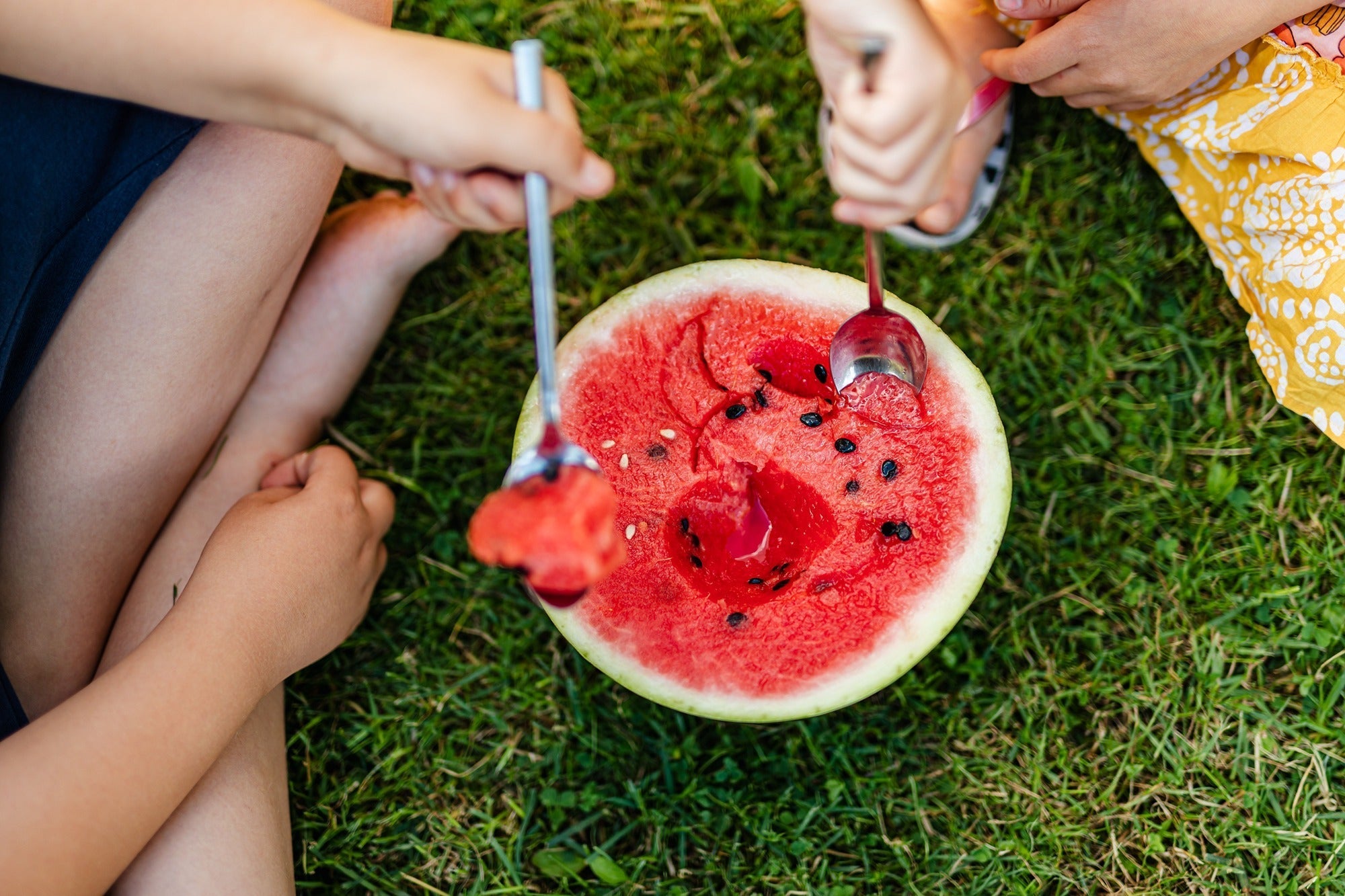 Common Nutrient Gaps During Summer and How to Address Them