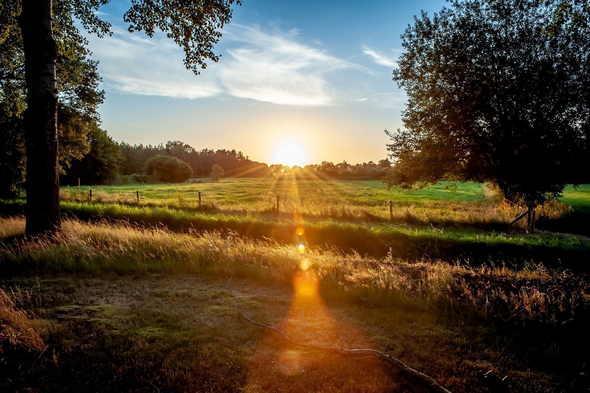 Why Summer Is the Perfect Time to Check Your Vitamin D Levels