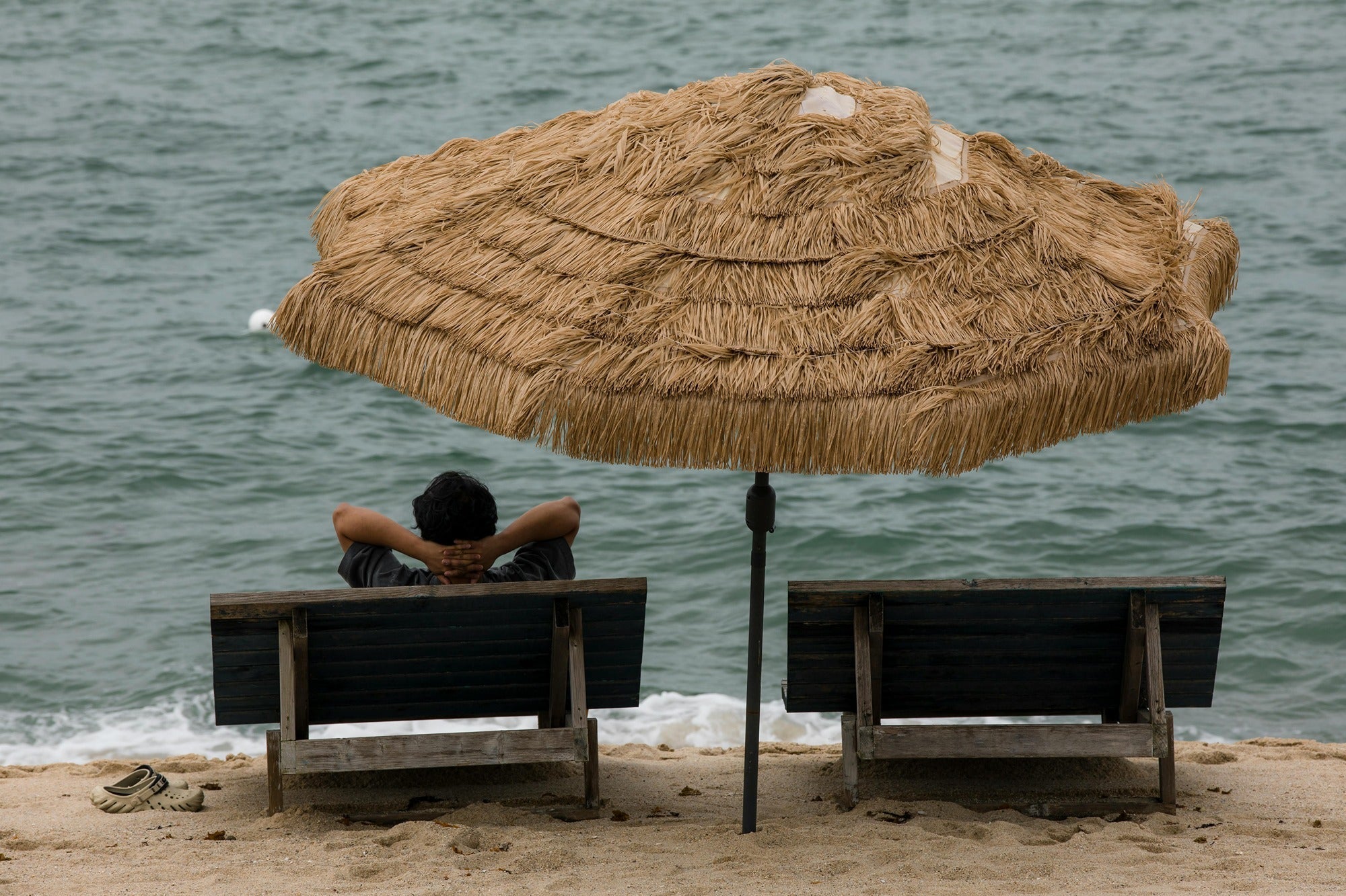 Natural Wellness Ingredients That Support Relaxation and Balance