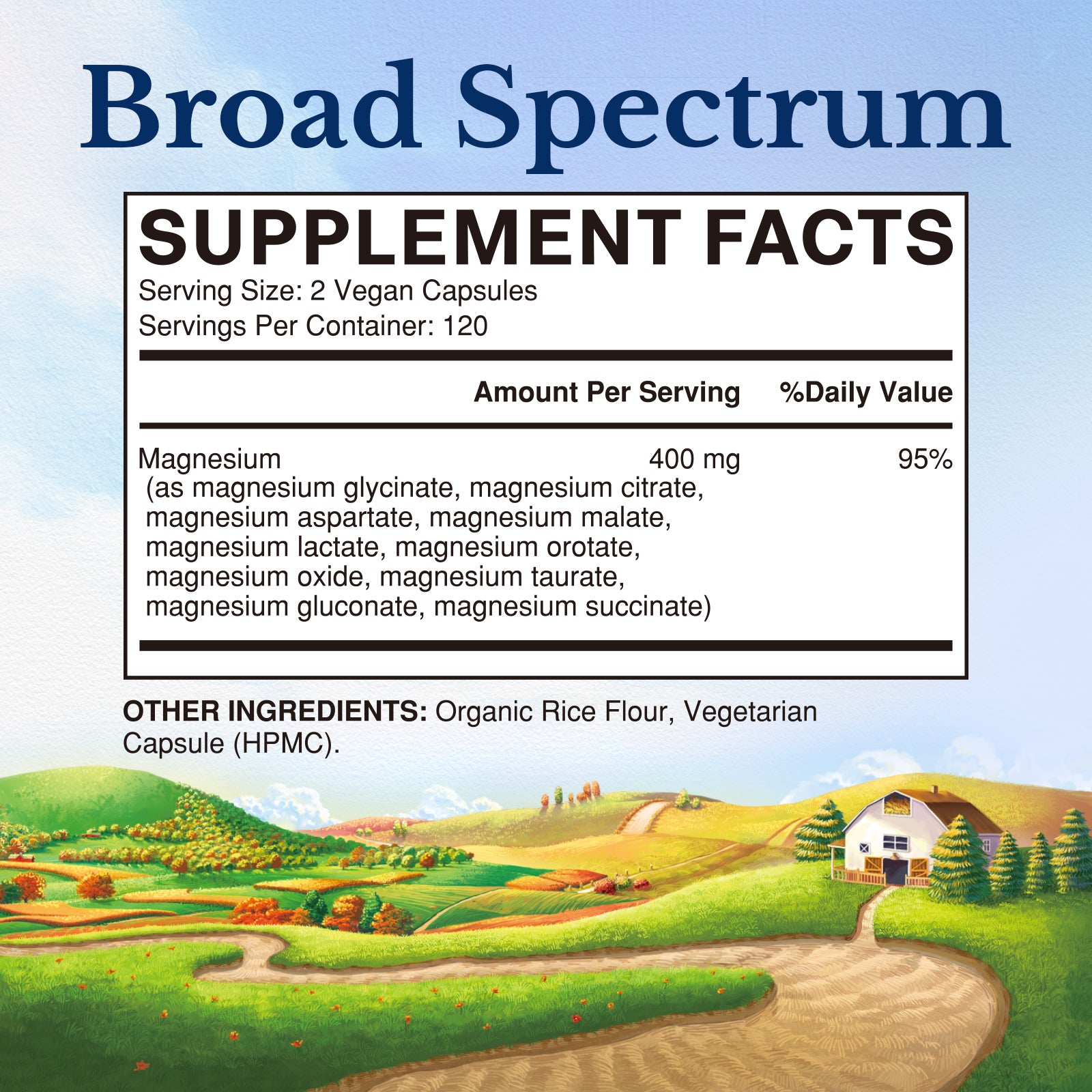 10-In-1 Magnesium Complex Supplement Facts | Magnesium Glycinate Citrate Malate Taurate & More - 90 Veggie Capsules