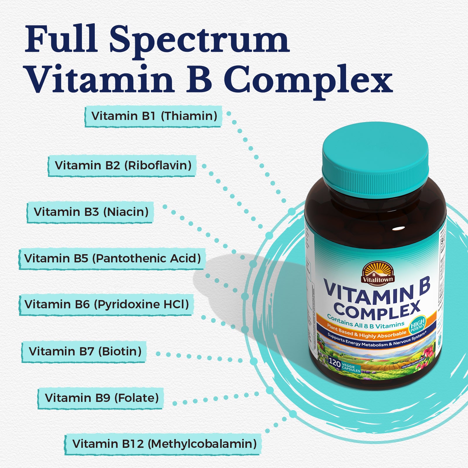 Full Spectrum Vitamin B Complex Folic Acid Biotin Vitamins B1 B2 B3 B6 B12