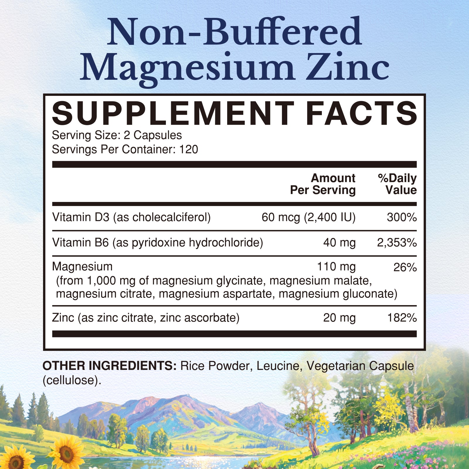 Magnesium Zinc Supplement Facts | 110 mg Elemental Magnesium with Zinc D3 B6 Per 2 Caps - 240 Count