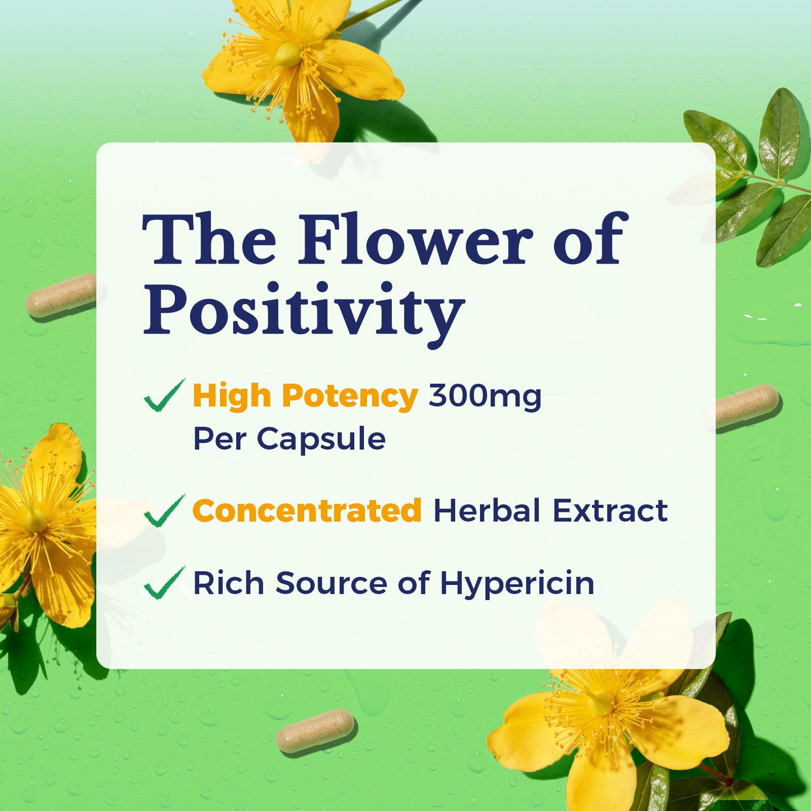 St. John's Wort
