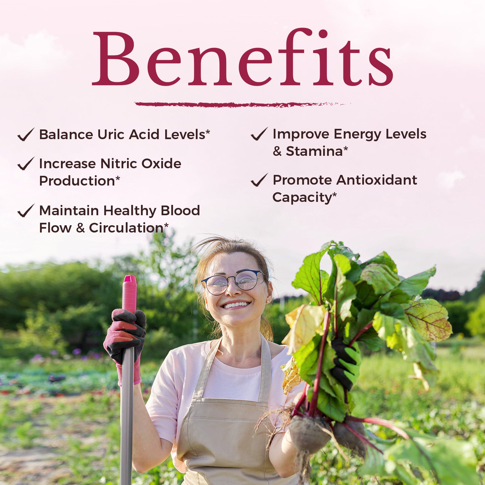 Organic Beet Root