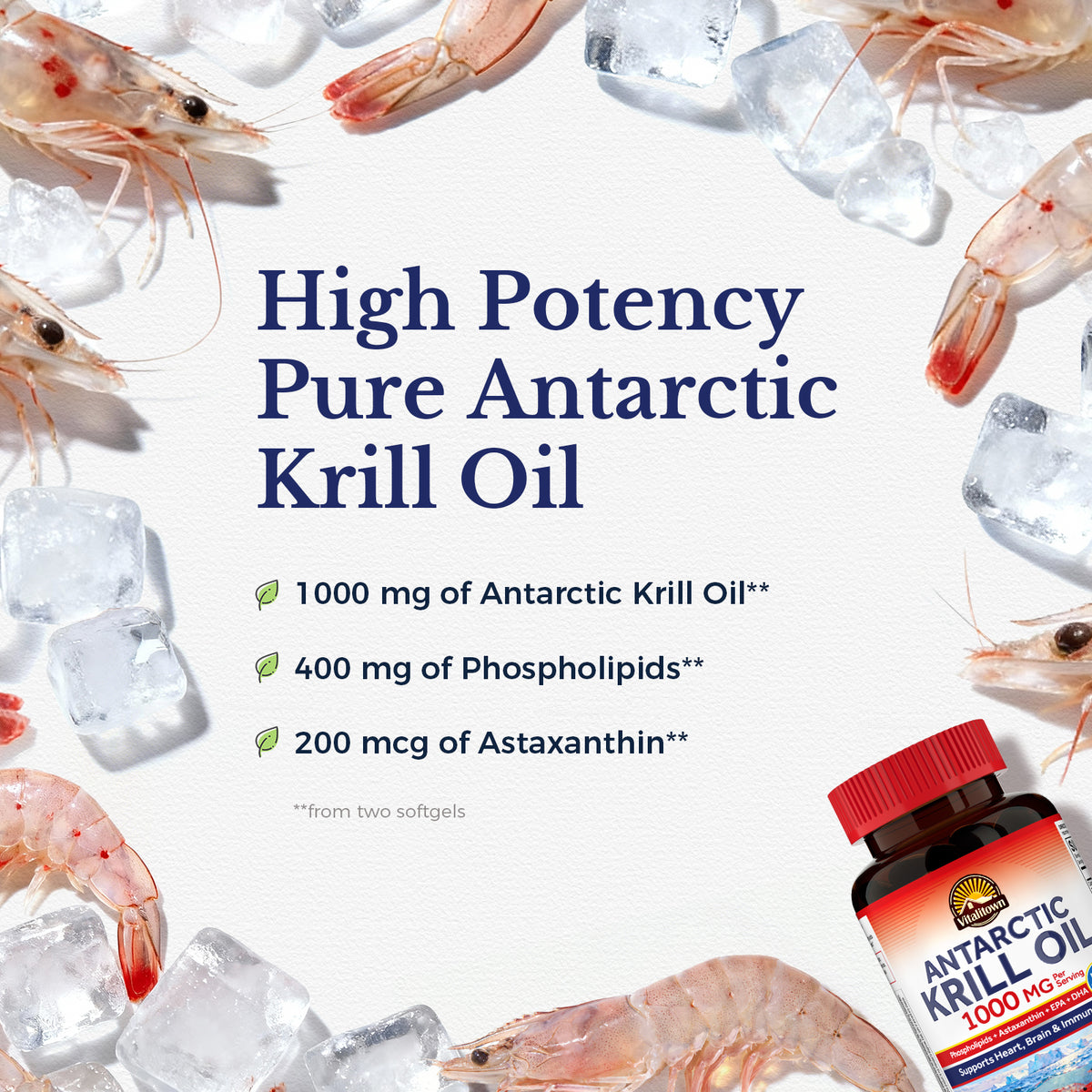 Antarctic Krill Oil with 400 mg Phospholipids and 200 mcg Astaxanthin per Serving