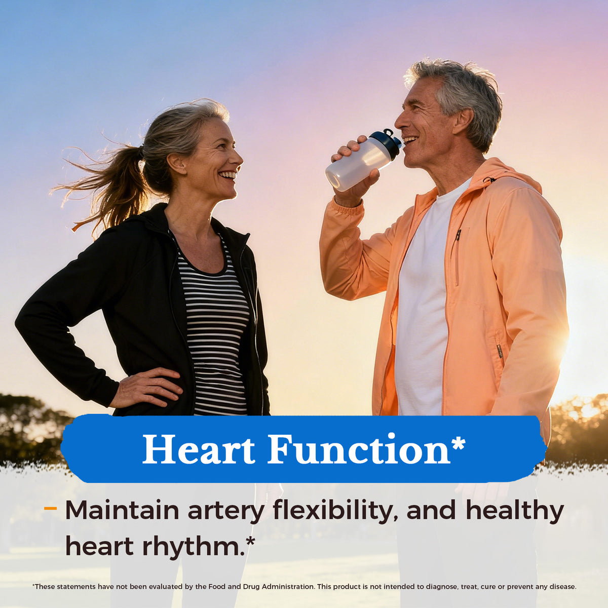 Vitamin D3 K2 with Magnesium Supports Artery Flexibility and Healthy Heart Rhythm