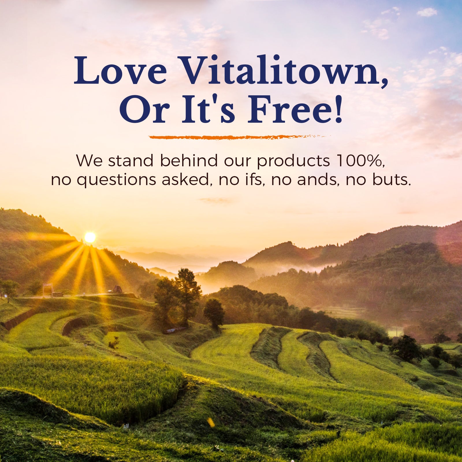We Stand Behind Our Products 100%
