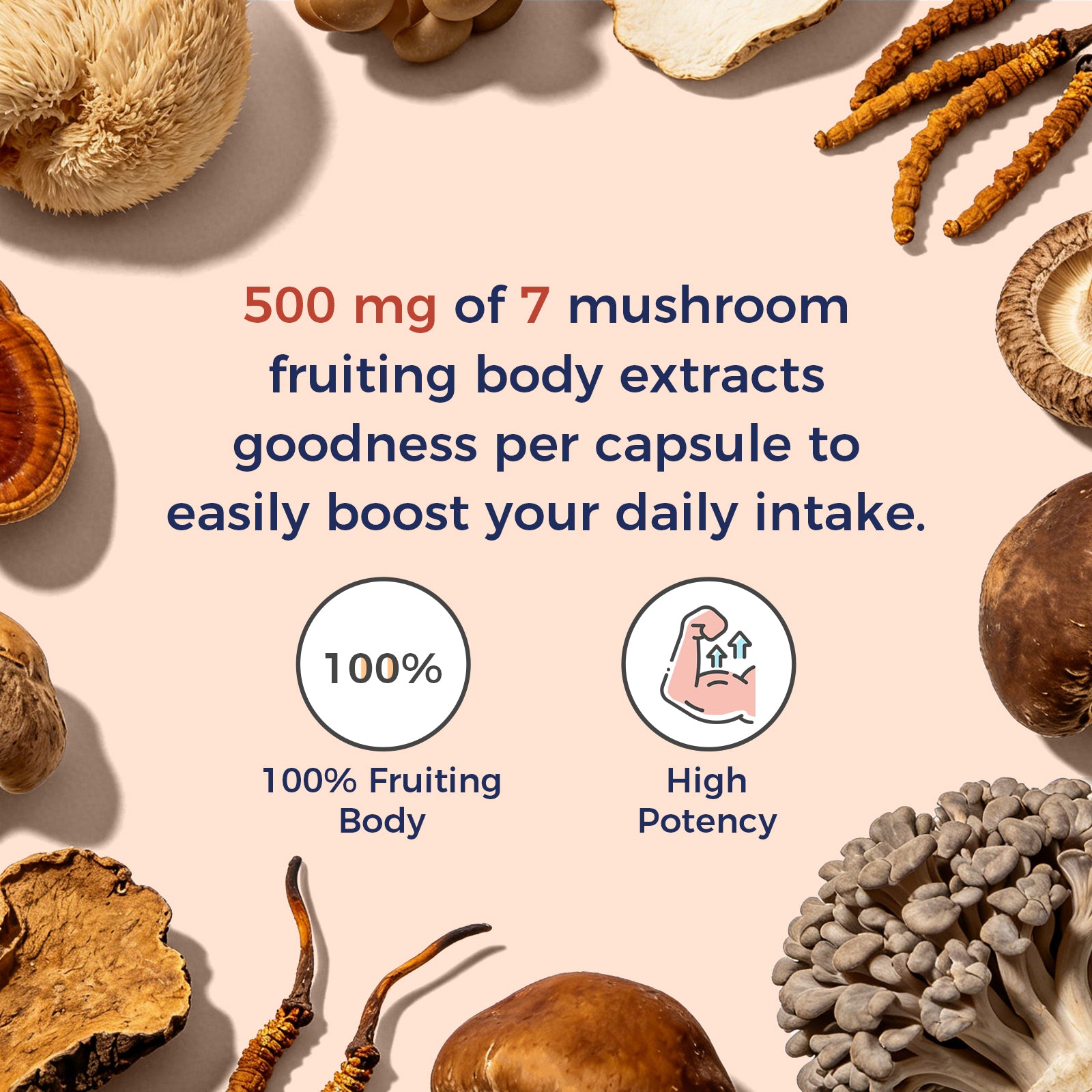 7 Mushroom Complex