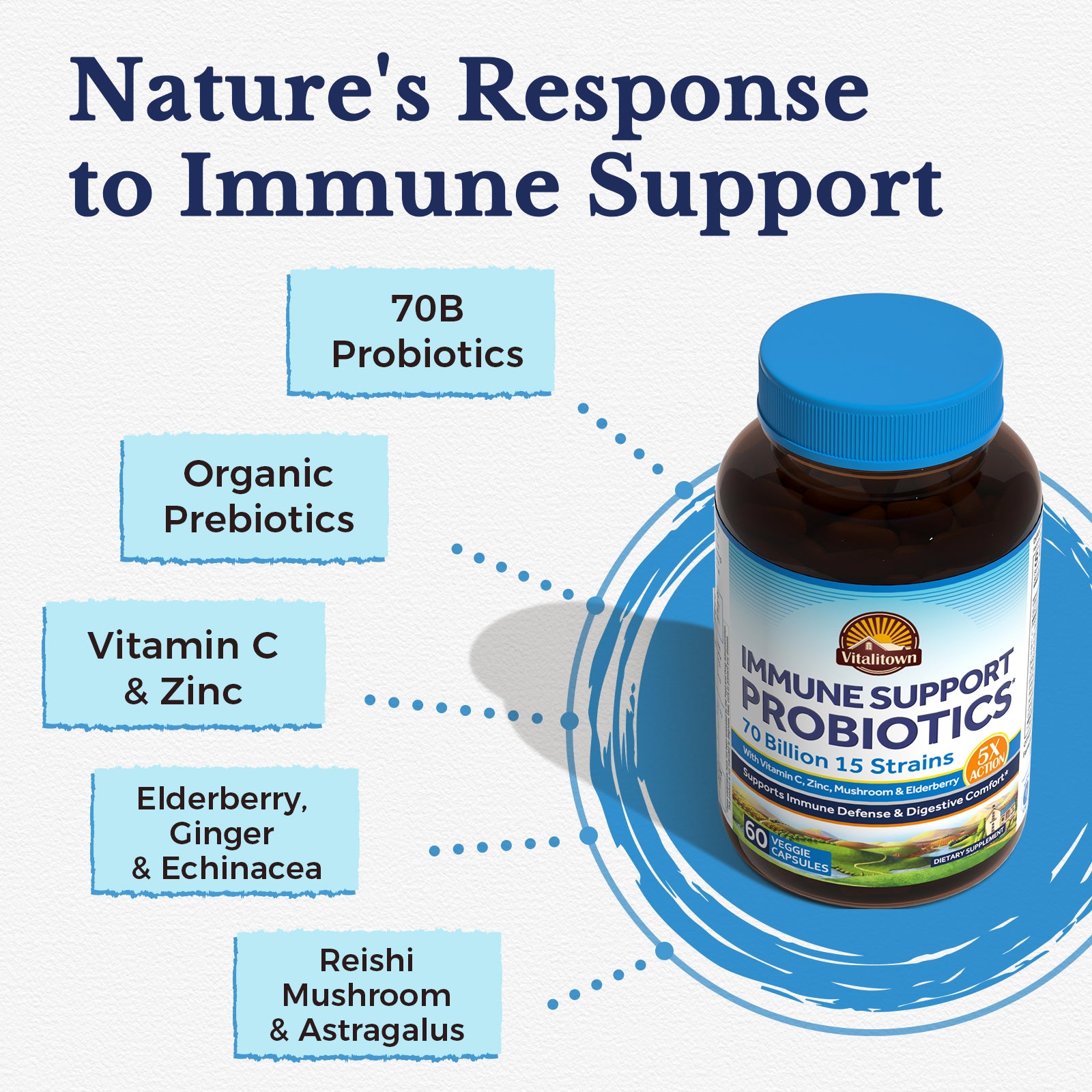 70B Probiotics Organic Prebiotics VC Zinc Elderberry Ginger Echinacea Reishi Mushroom Astragalus for Immune Support