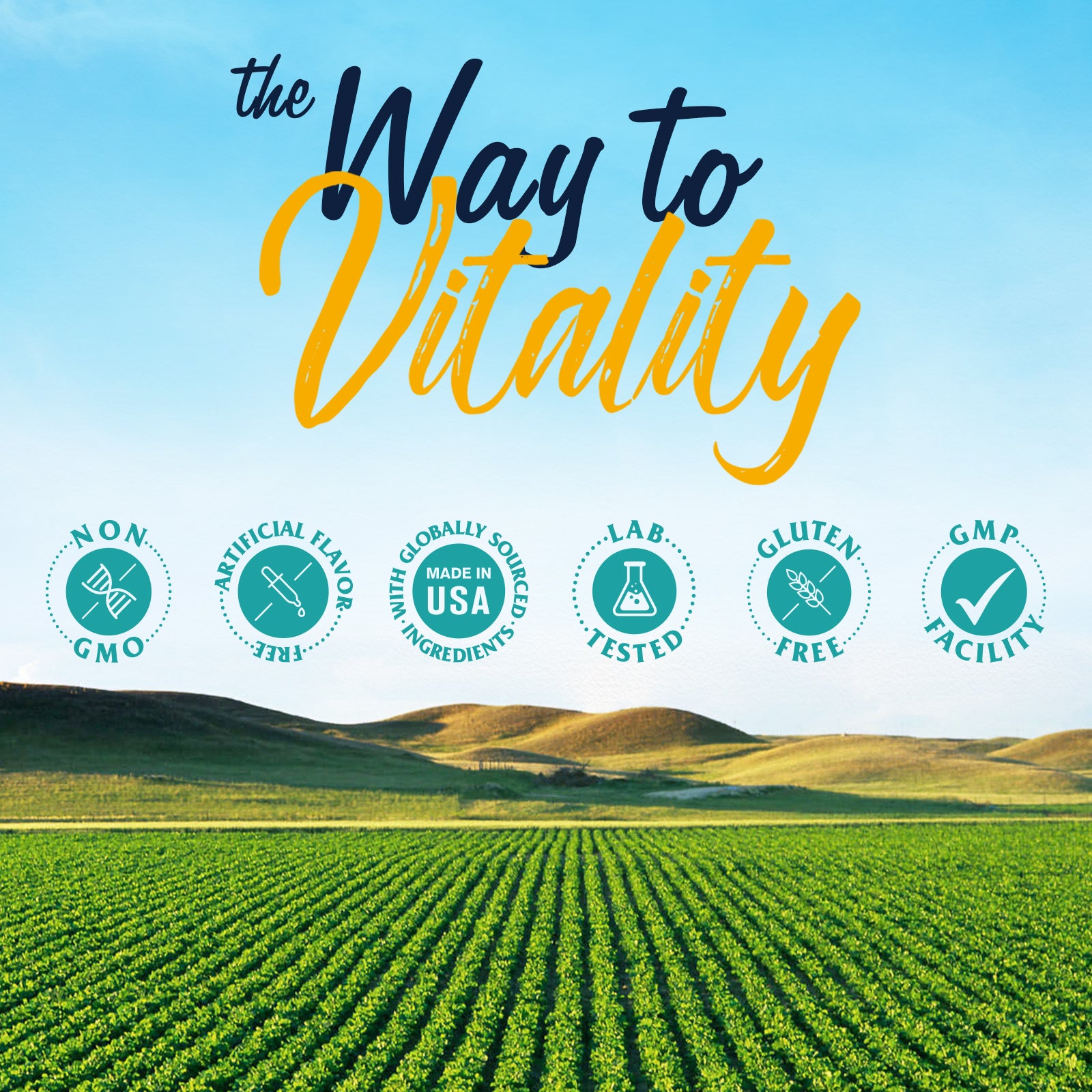 Vitalitown supplement Made in GMP Facility. Non-GMO Soy Free Lab Tested No Artificial Fillers