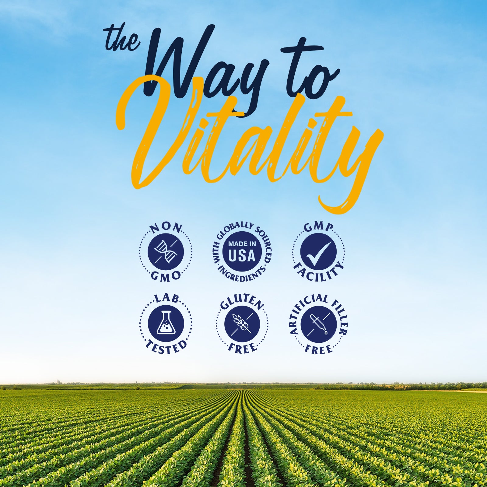 Vitalitown Supplement Made in GMP Facility. Non-GMO Soy Free Lab Tested No Artificial Fillers