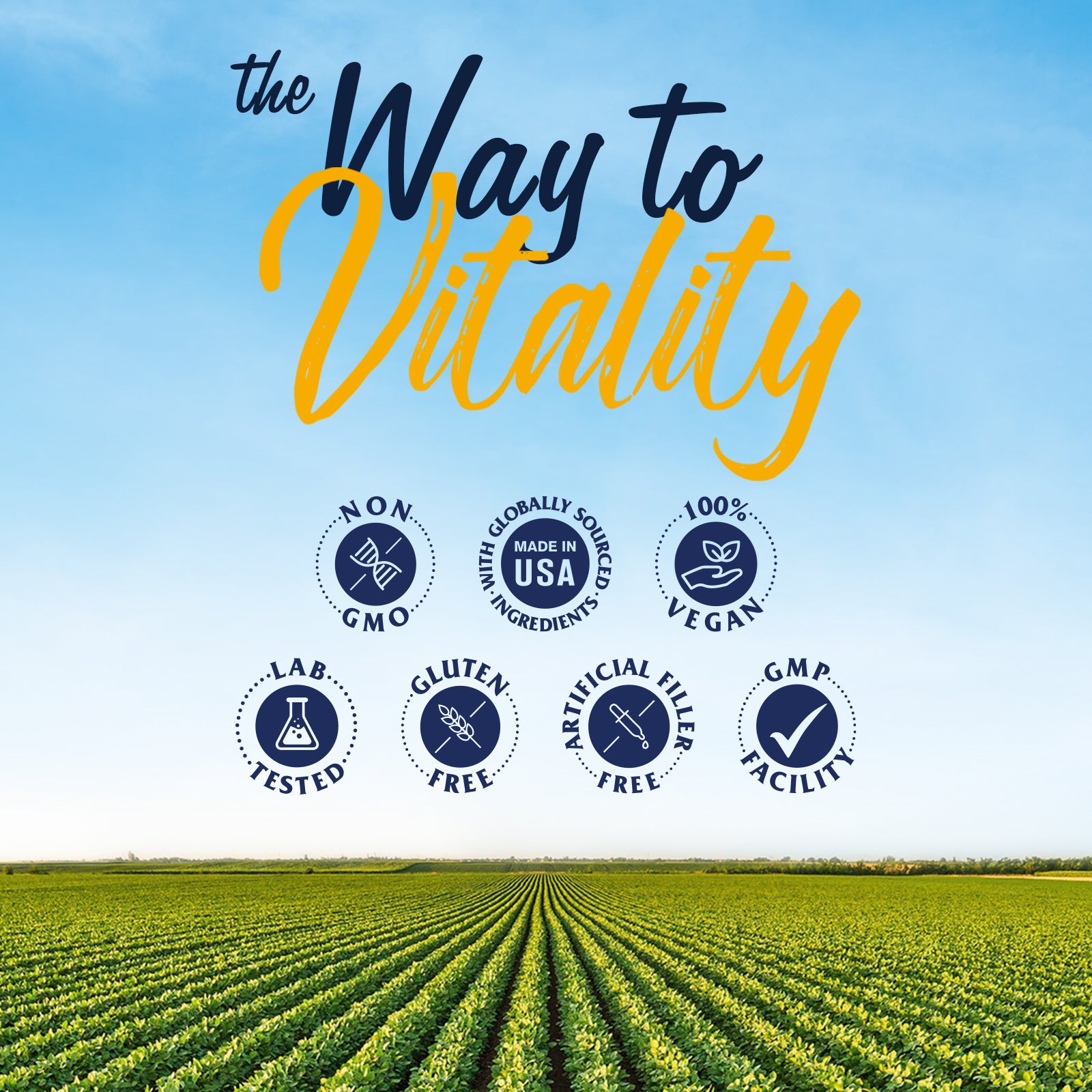 Vitalitown supplement Made in GMP Facility. Non-GMO Soy Free Lab Tested No Artificial Fillers