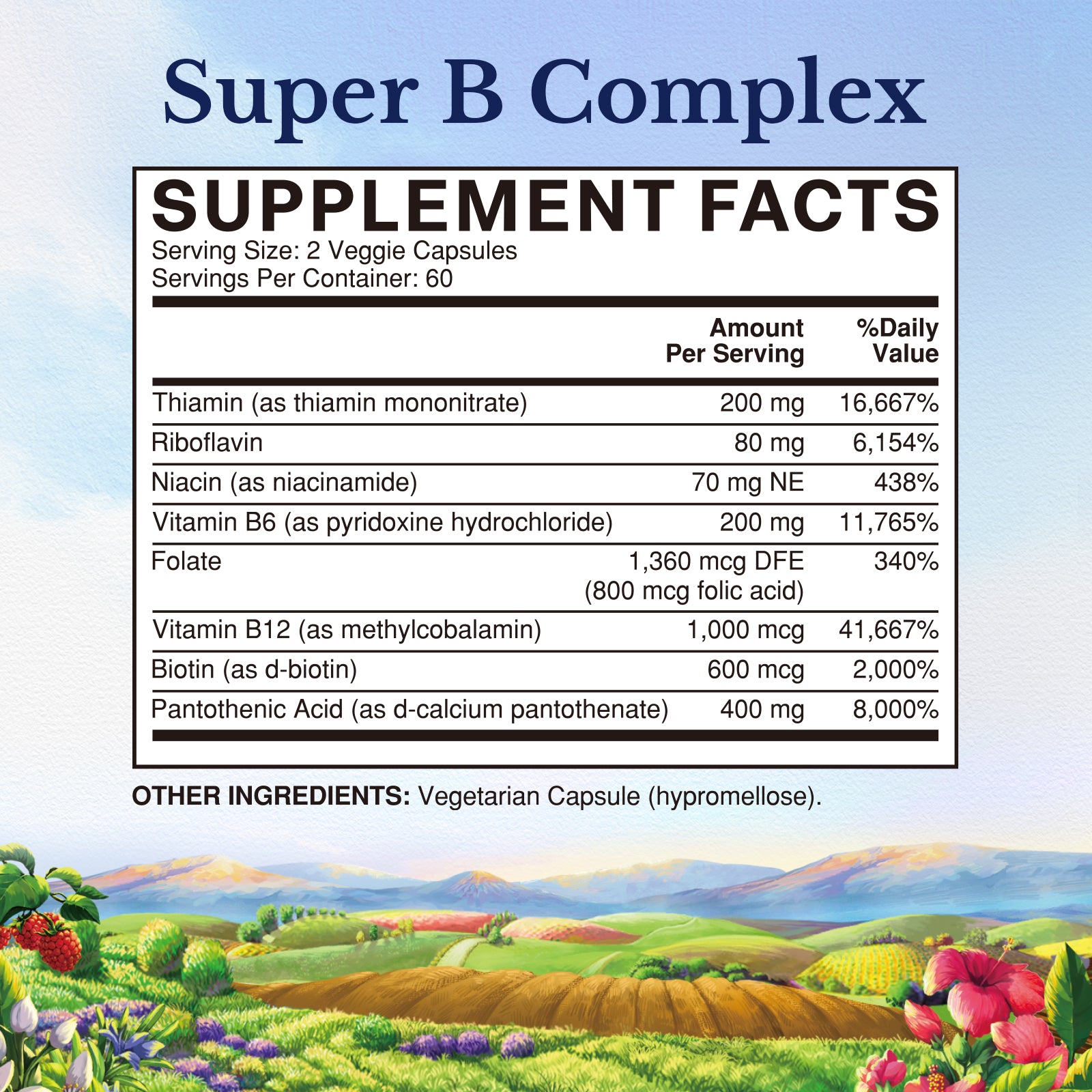 Vitalitown Super Vitamin B Complex Supplement Fact