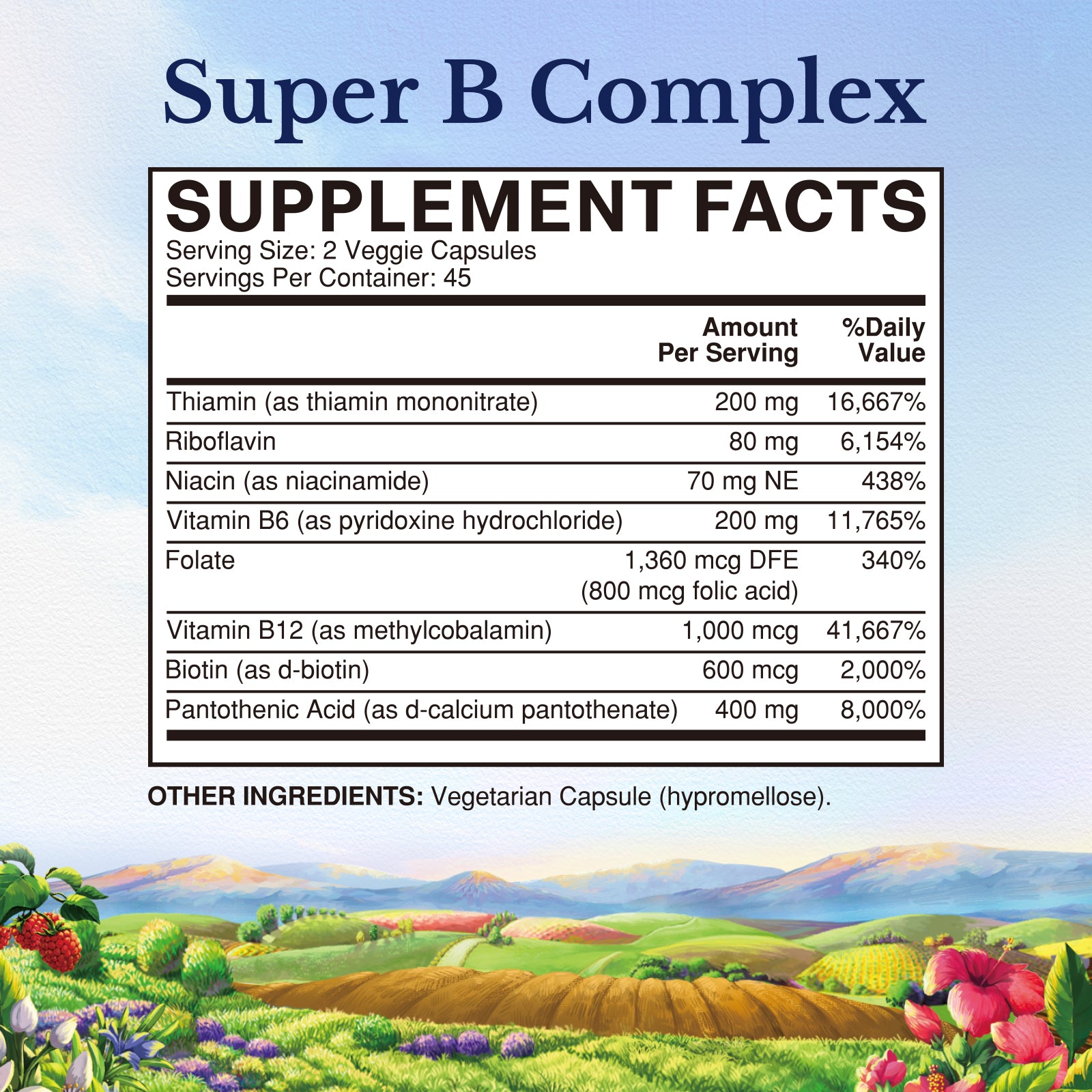 Vitalitown Super Vitamin B Complex Supplement Fact