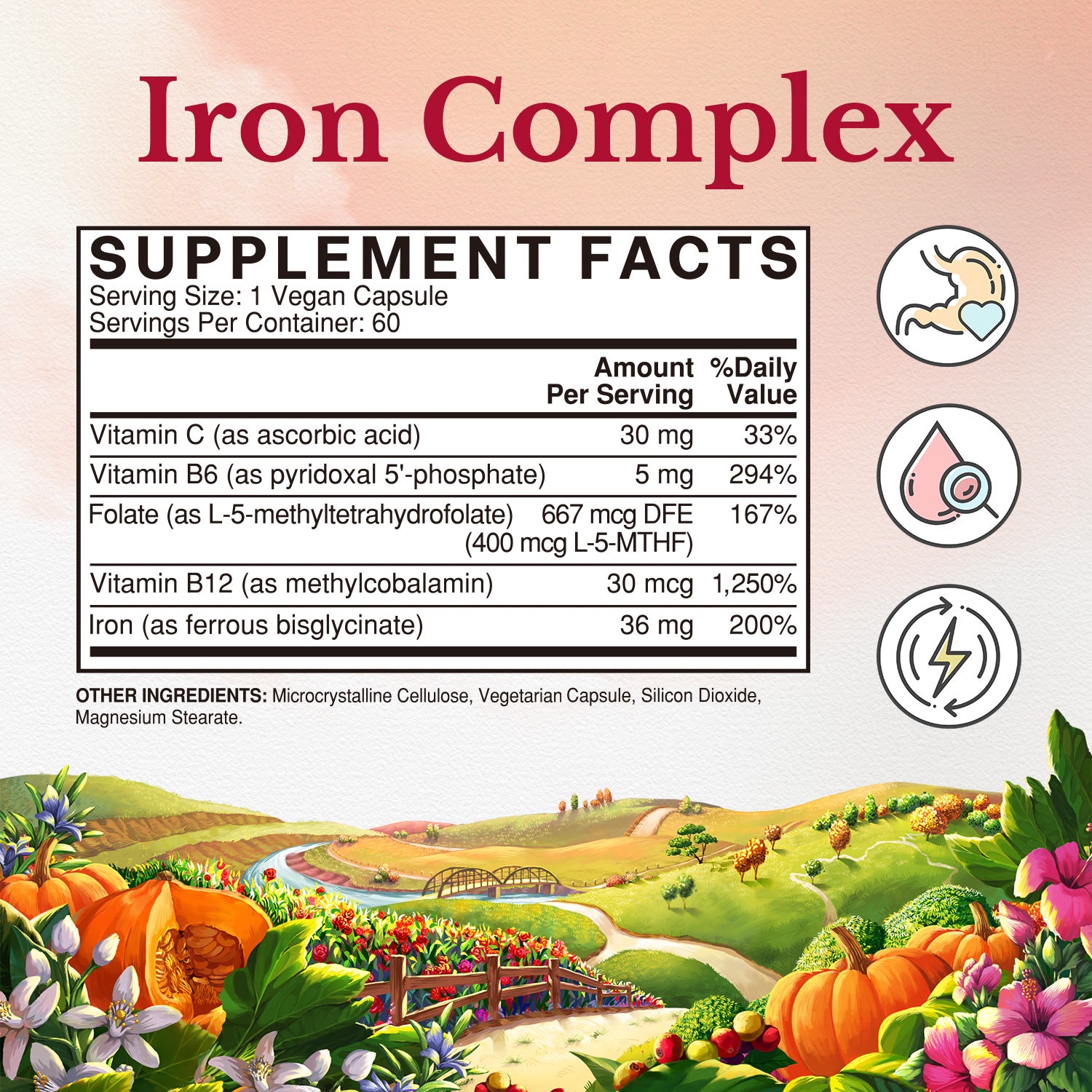 Iron Complex Supplement Facts |  36mg Iron and B complex Vitamin C - 60 Capsules