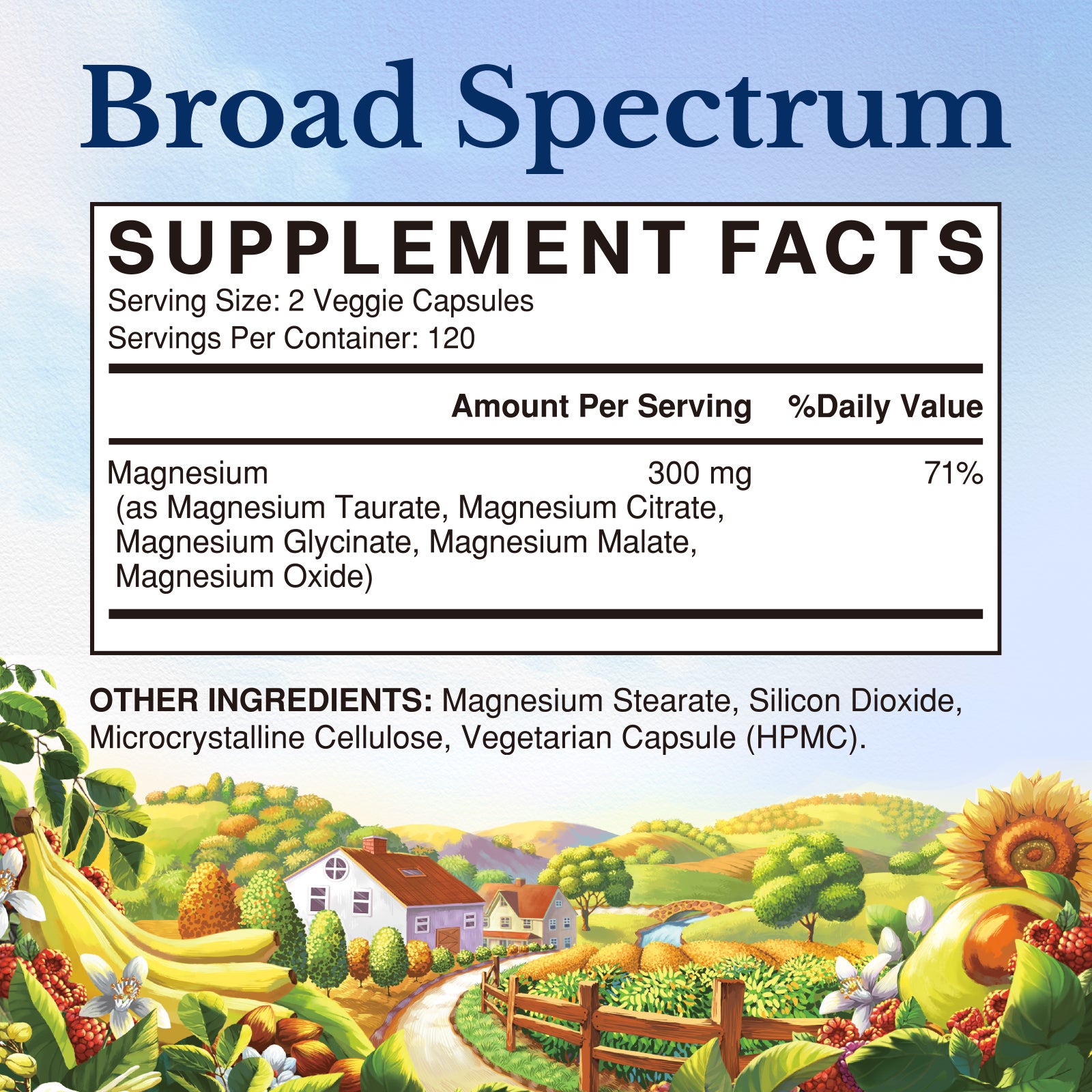 Magnesium Complex Supplement Facts | Magnesium Taurate, Citrate, Glycinate, Malate, and Oxide - 240 Veggie Capsules