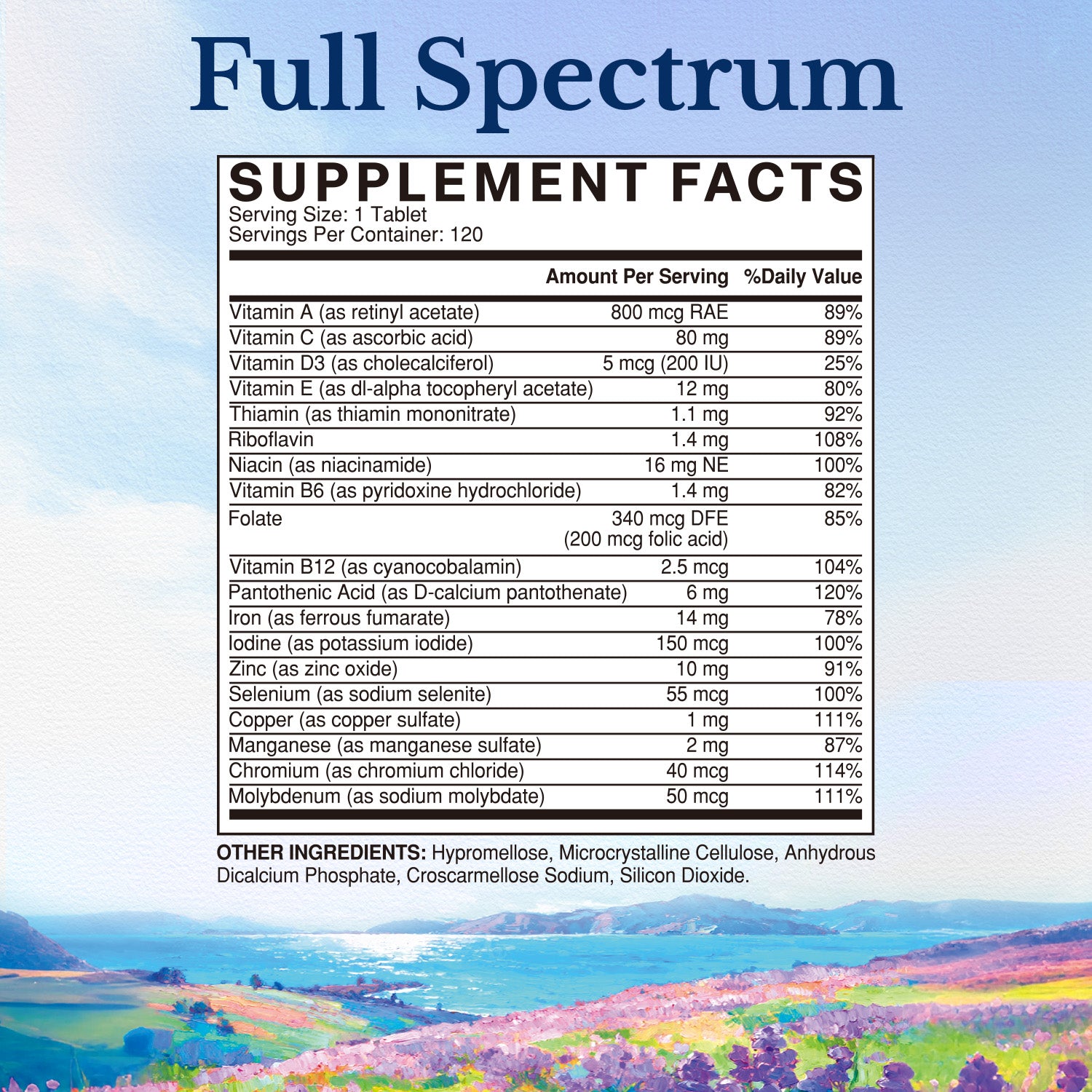 One Per Day Multivitamin Supplement Facts | Vitamin A C D3 E B-complex iron and more - 120 Tablets