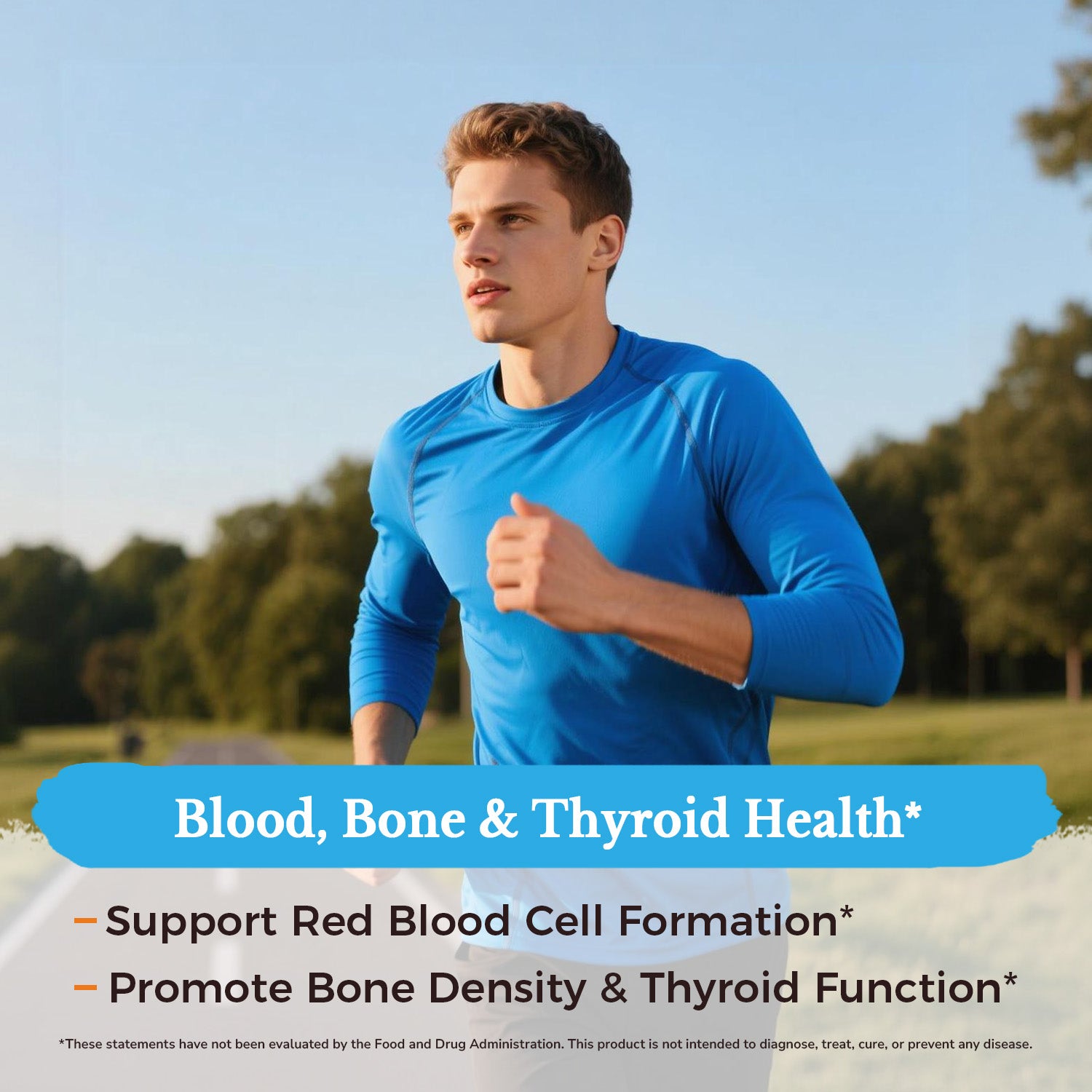 Our Multivitamin Supports Blood Bone and Thyriod Health