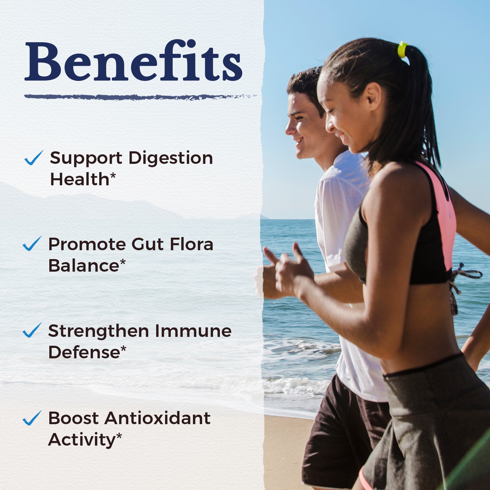 Support Digestion Gut Flora Balance Immune Defense Antioxidant Activity