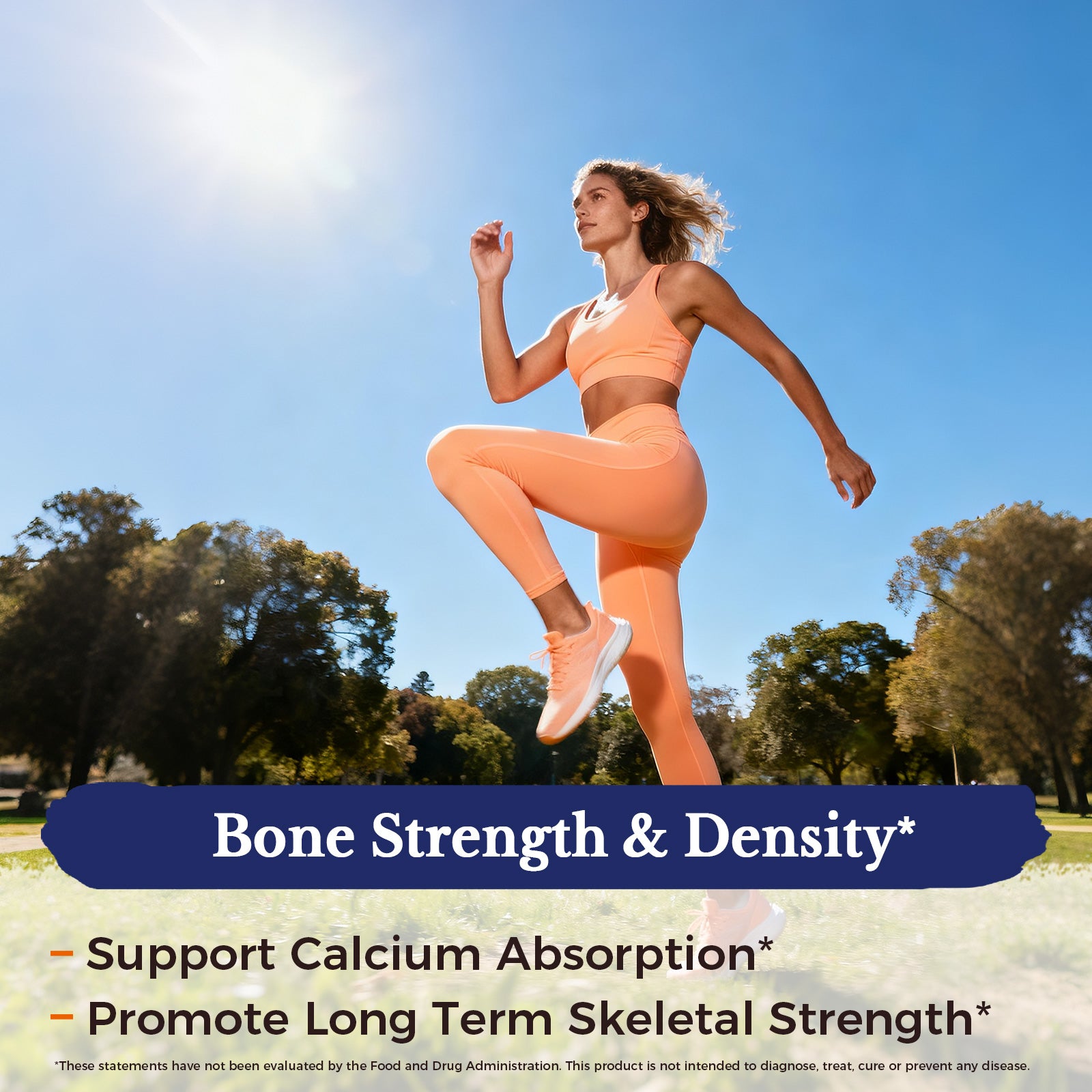 It Supports Calcium Absorption and Promote Long Term Skeletal Strength