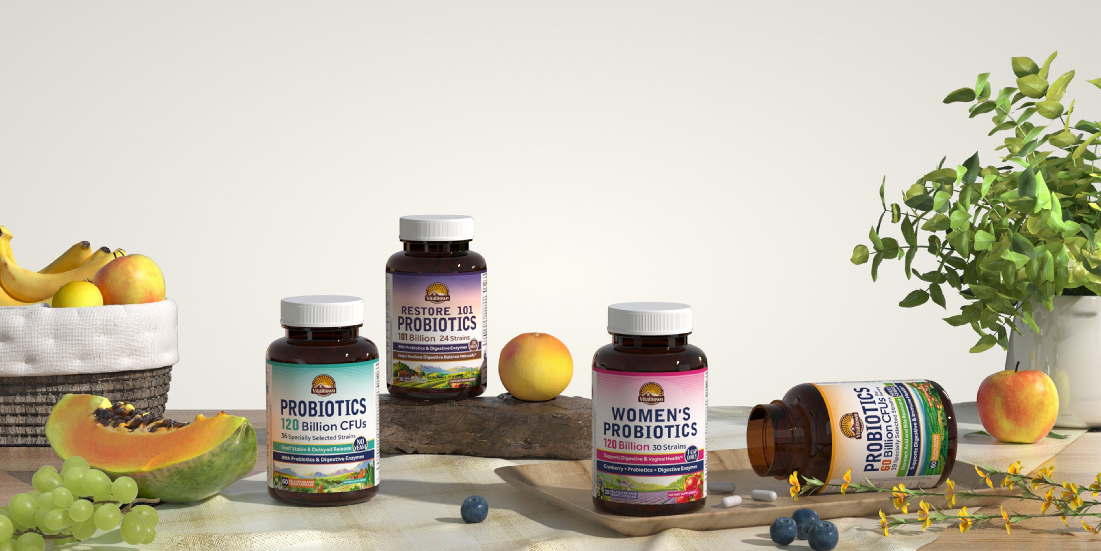 <p>The Way to <em>Vitality</em></p>