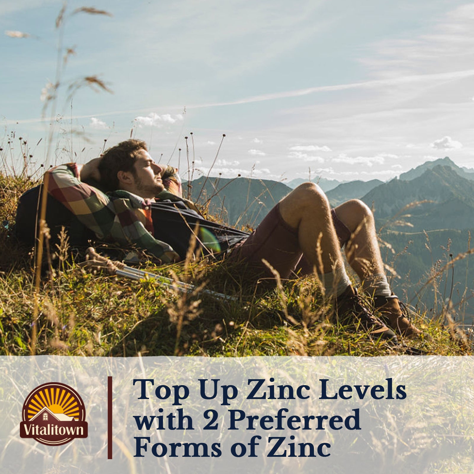 Top Up Zinc Levels with 2 Preferred Forms of Zinc