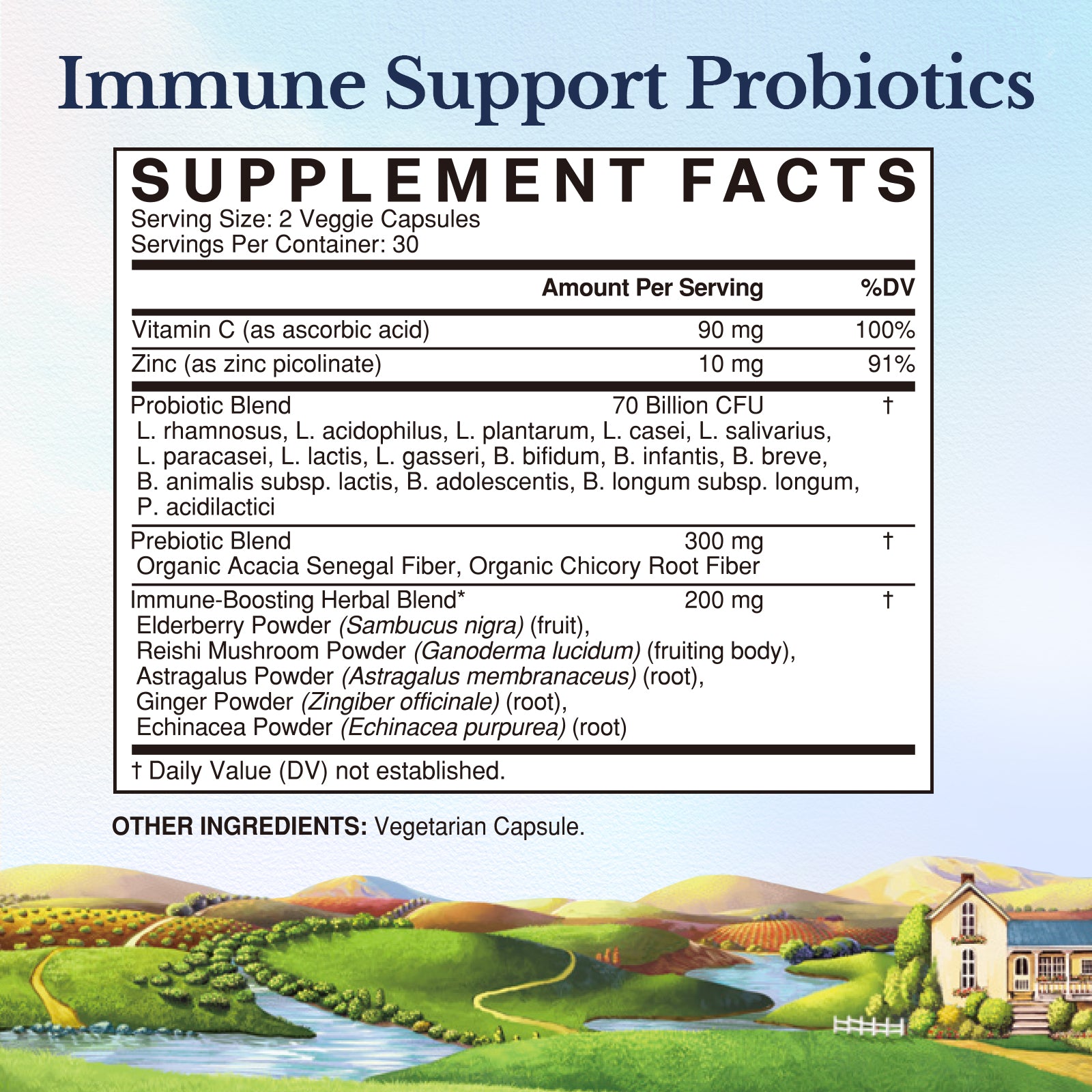Vitalitown Immune Support Probiotics Supplement Facts | 70 Billion CFUs Per Serving with VC Zinc Herbs Prebiotics - 60 Capsules