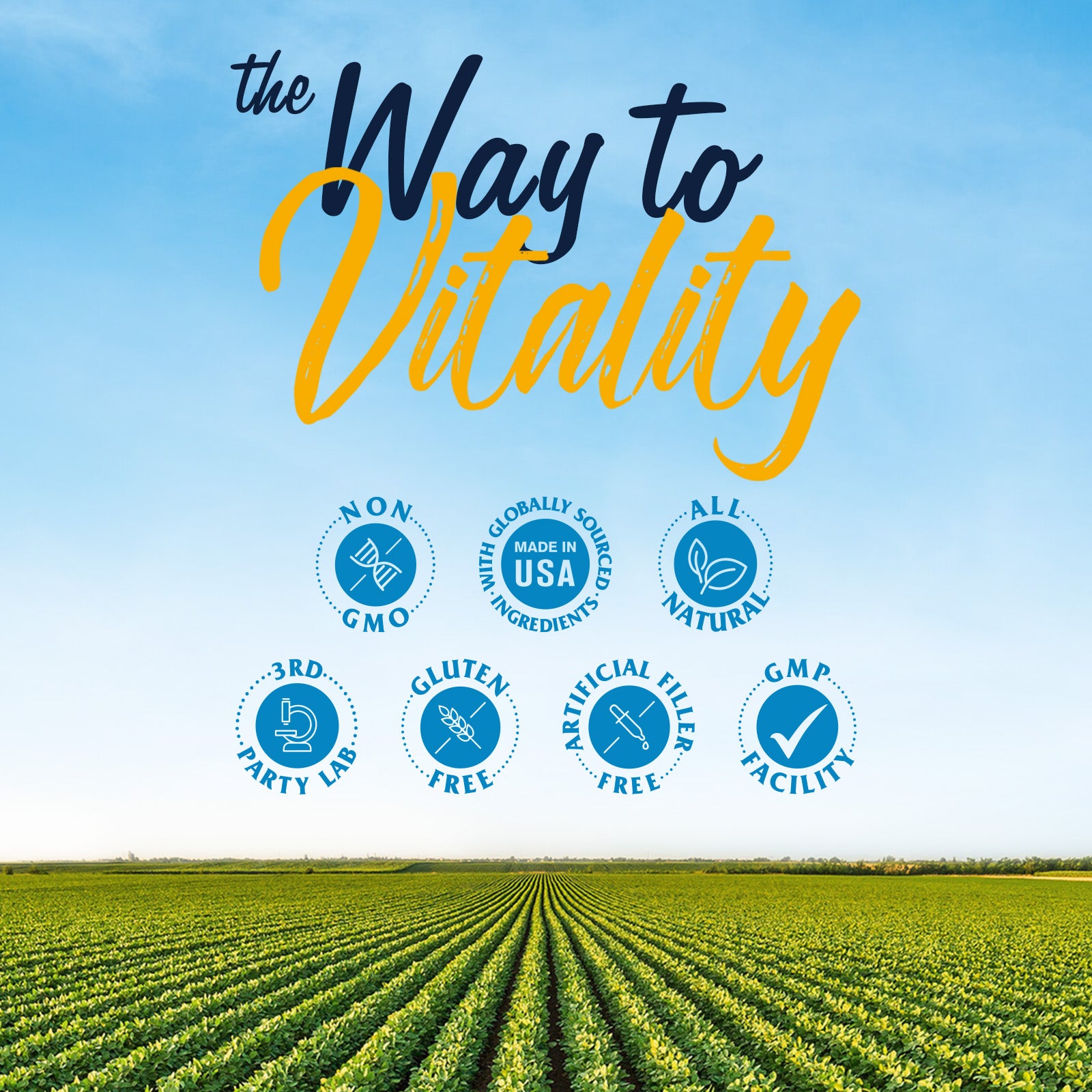 Vitalitown Supplement Made in GMP Facility. Non-GMO Soy Free Lab Tested 