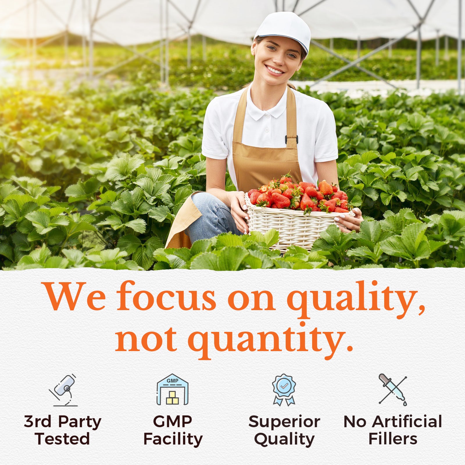 Vitalitown Supplement Focus on Quality, not Quantity