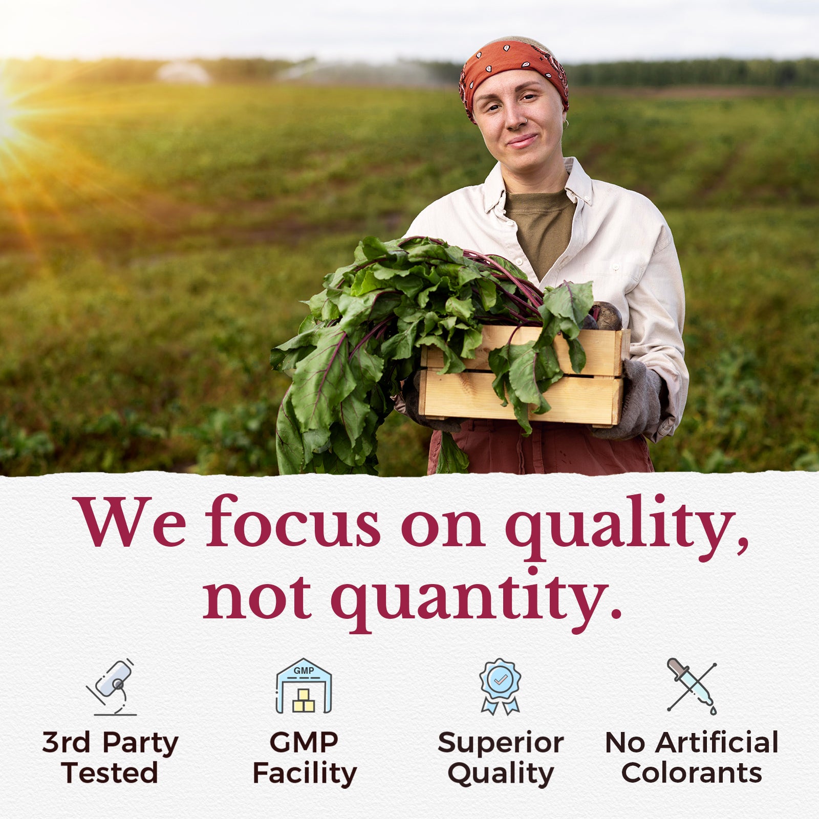 Vitalitown Supplement Made in GMP Facility. Non-GMO Soy Free Lab Tested