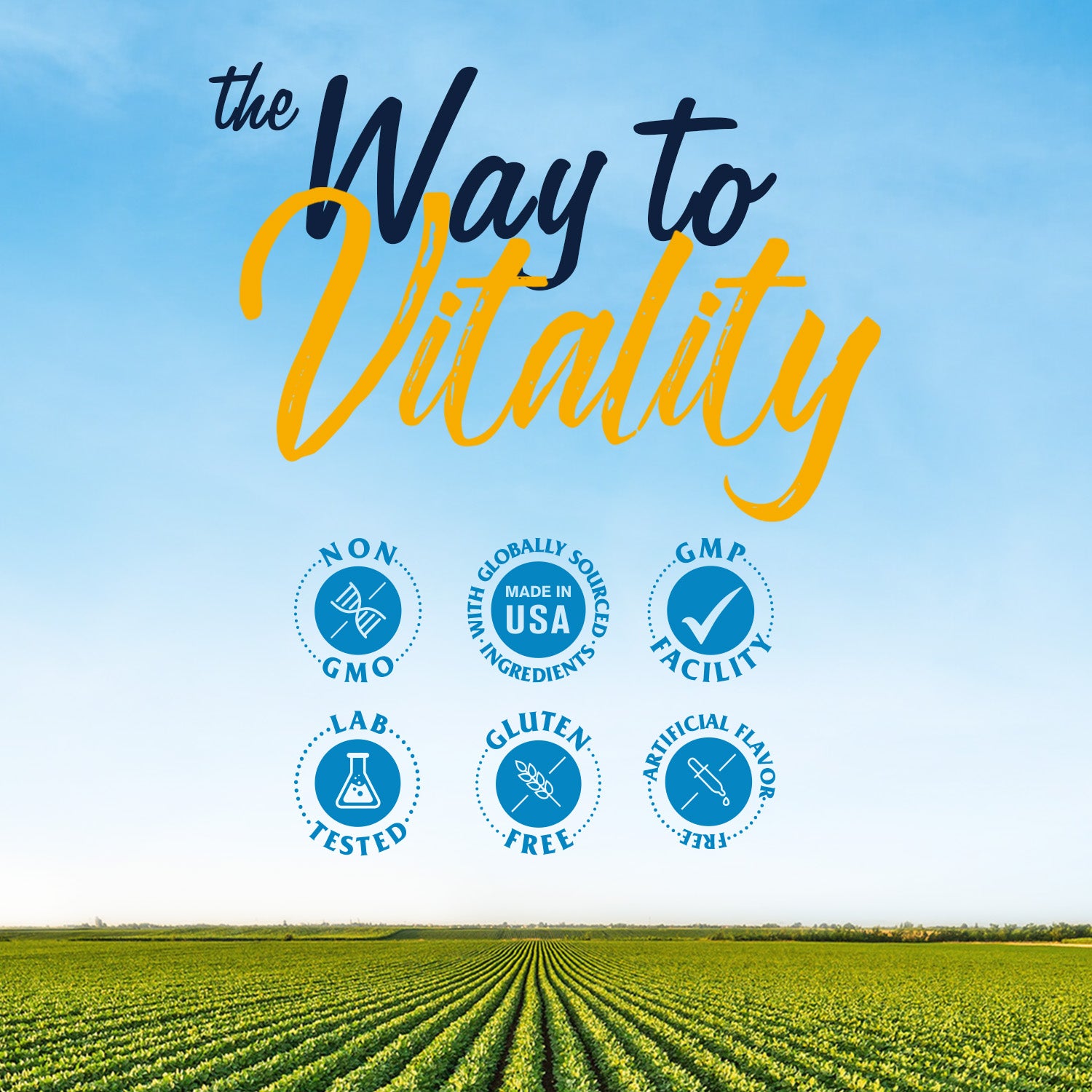 Vitalitown Supplement Made in GMP Facility. Non-GMO Soy Free Lab Tested No Artificial Fillers