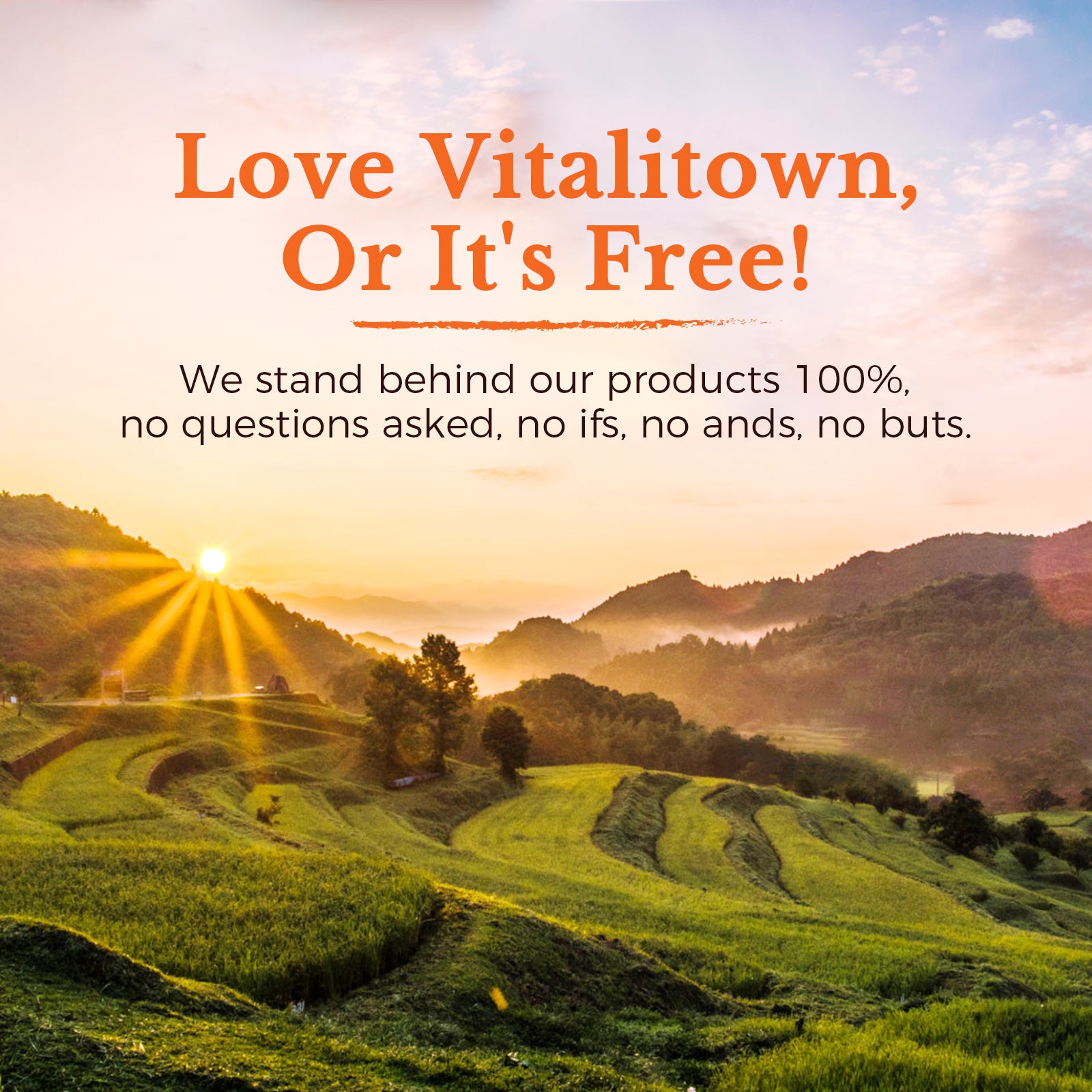 We stand behind our products 100%