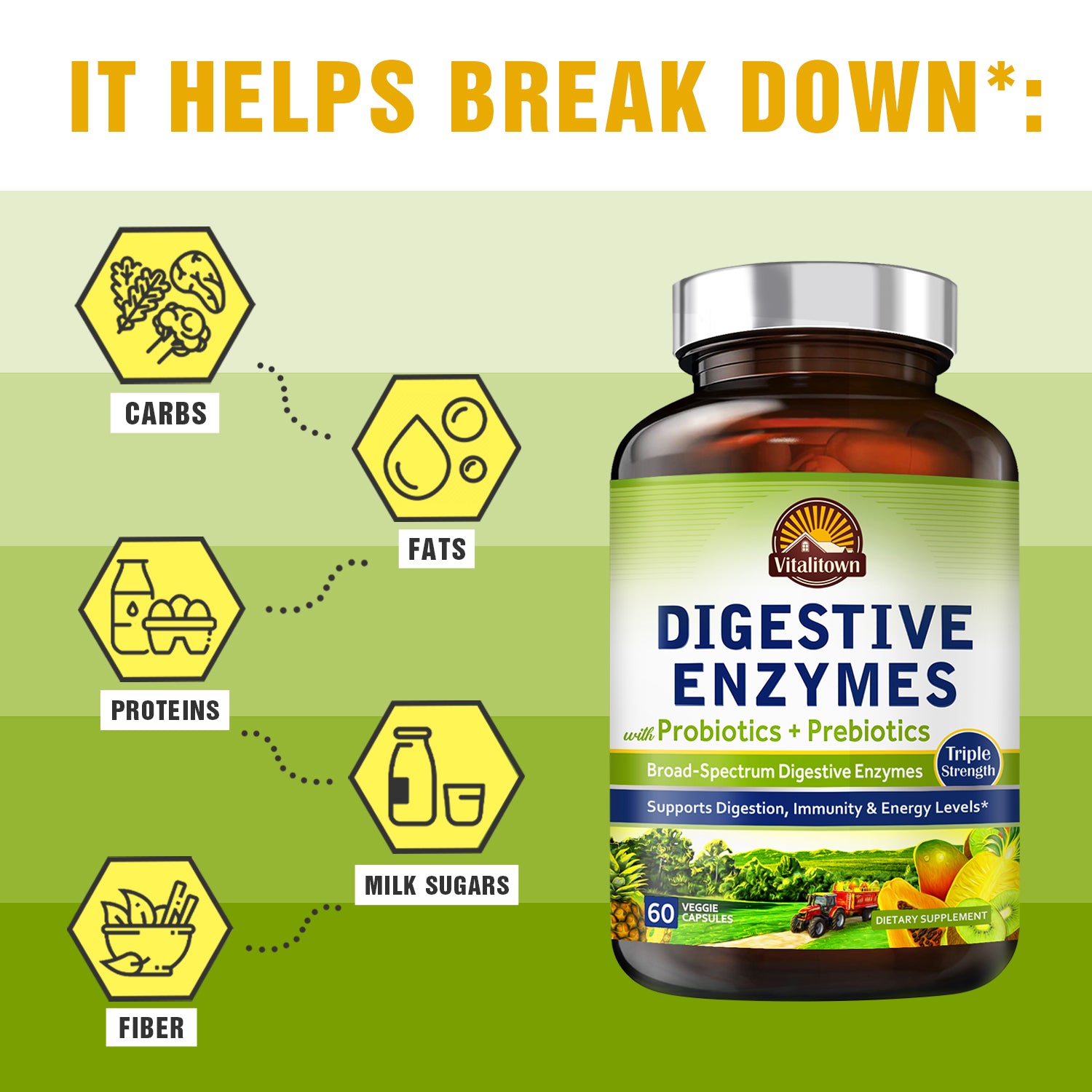 Digestive Enzymes