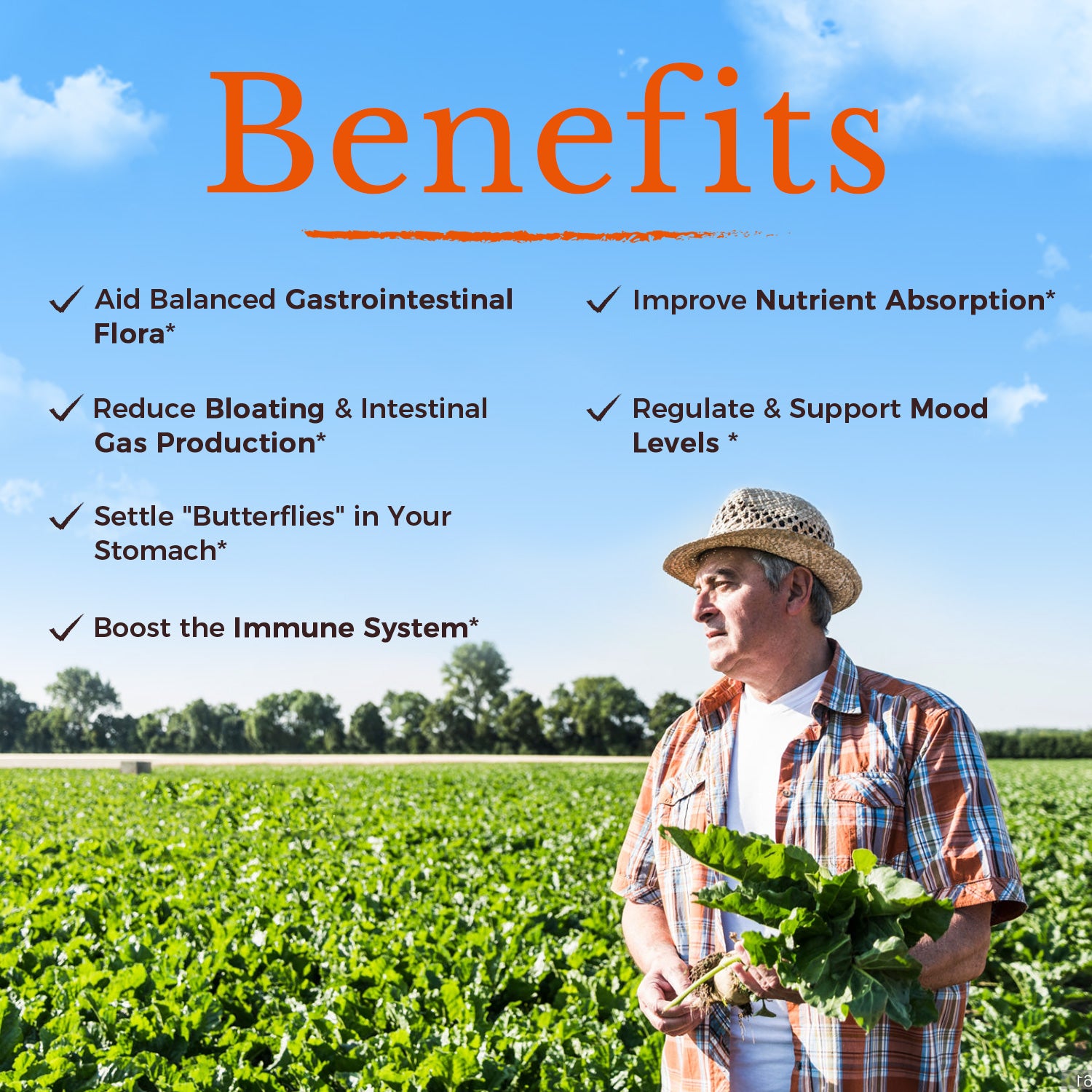Support Gastrointestinal Flora Immunity Nutrient Absorption Mood Levels Reduce Bloating Gas