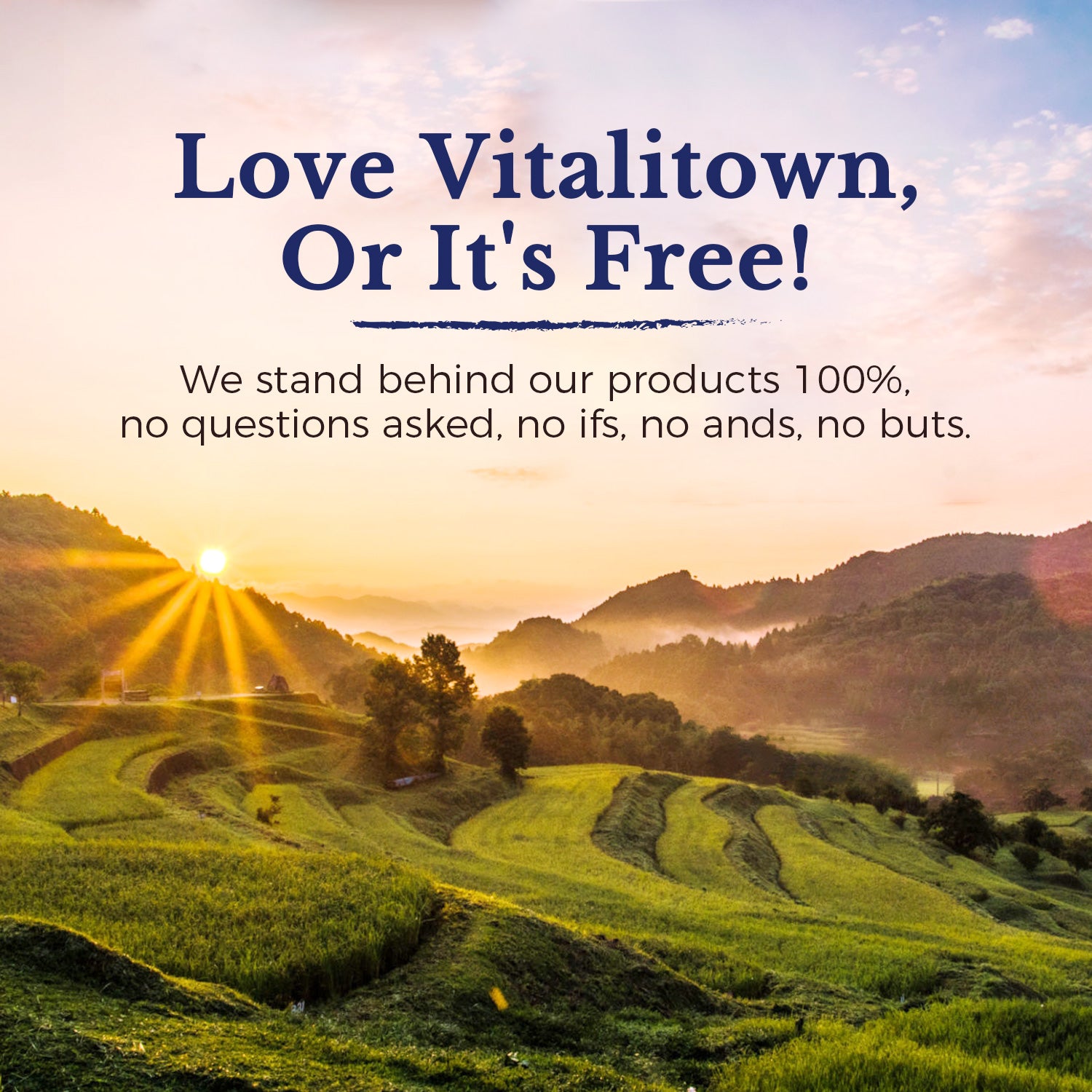 Vitalitown Supplement is curated for your unique needs