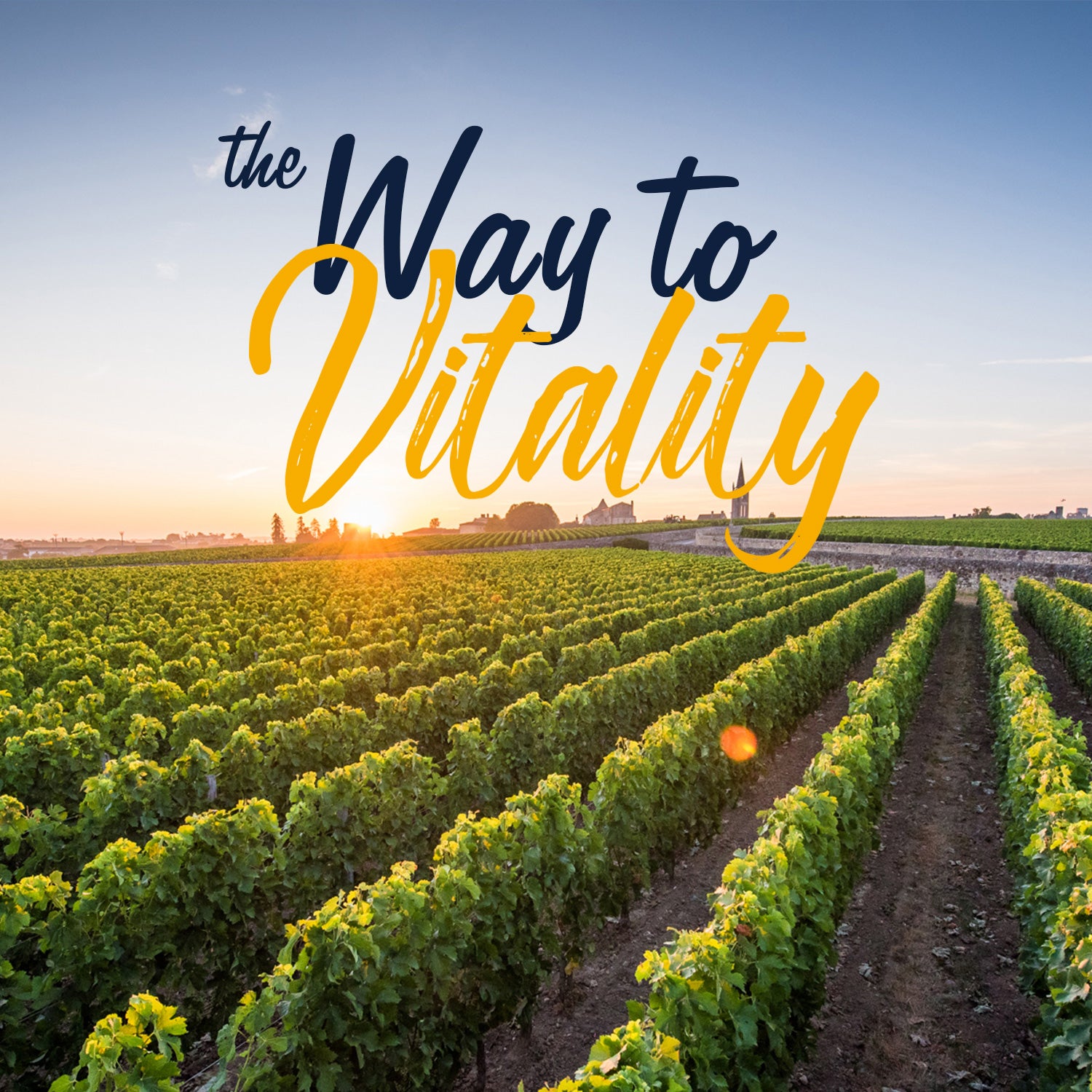 Vitalitown Supplement is intended for both men and women