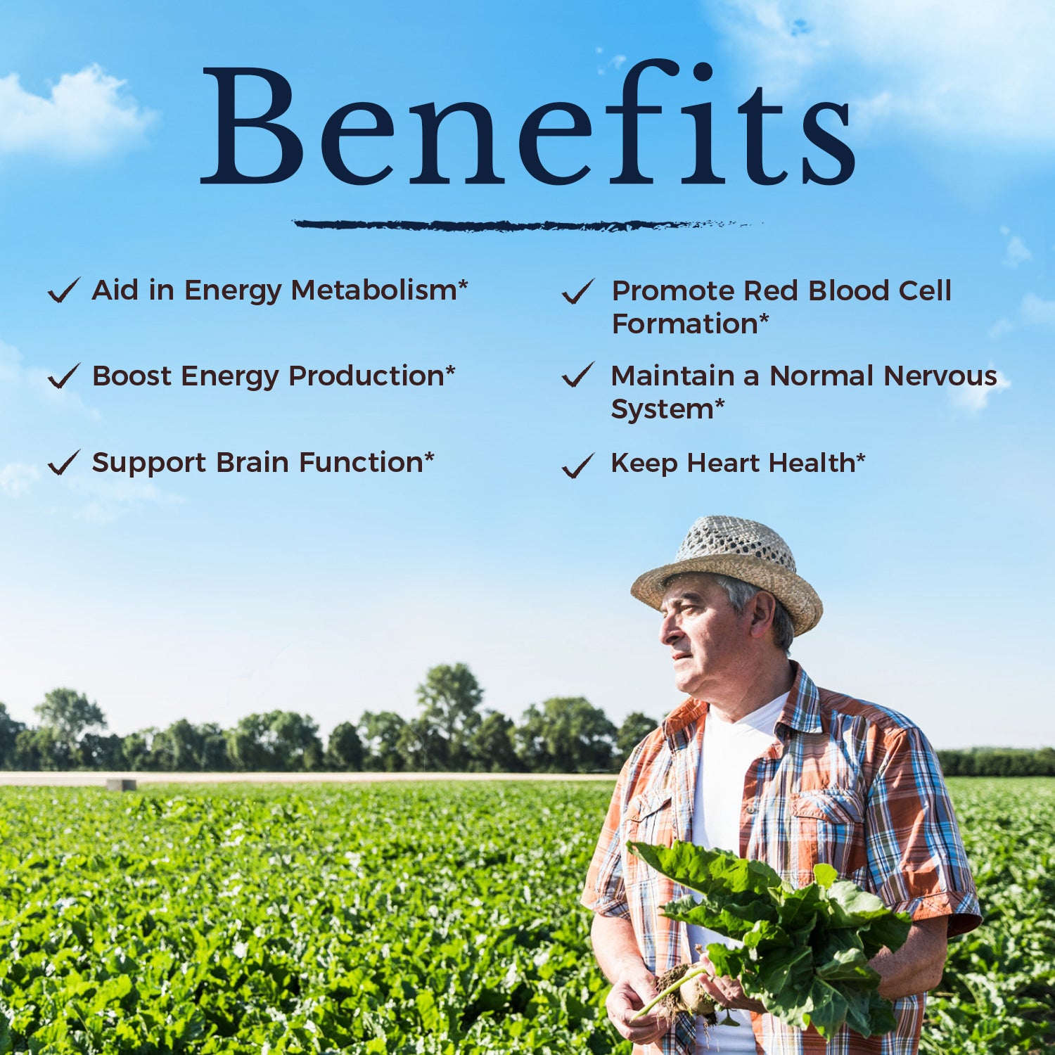 Vitalitown Vitamin B12 Helps Energy Brain Nervous System and Heart Health