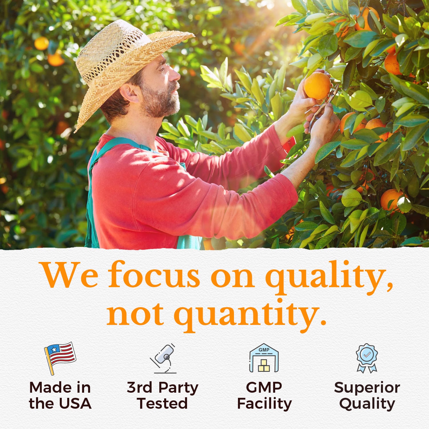 Vitalitown Supplement Focus on Quality, not Quantity