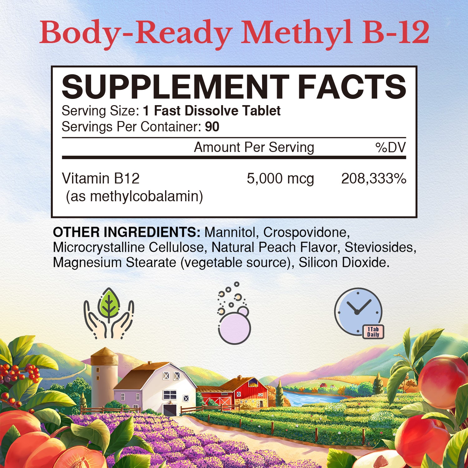Vitamin B12 Supplement Facts |  5000 mcg B12 as Methylcobalamin - 90 Fast Dissolve Tablets