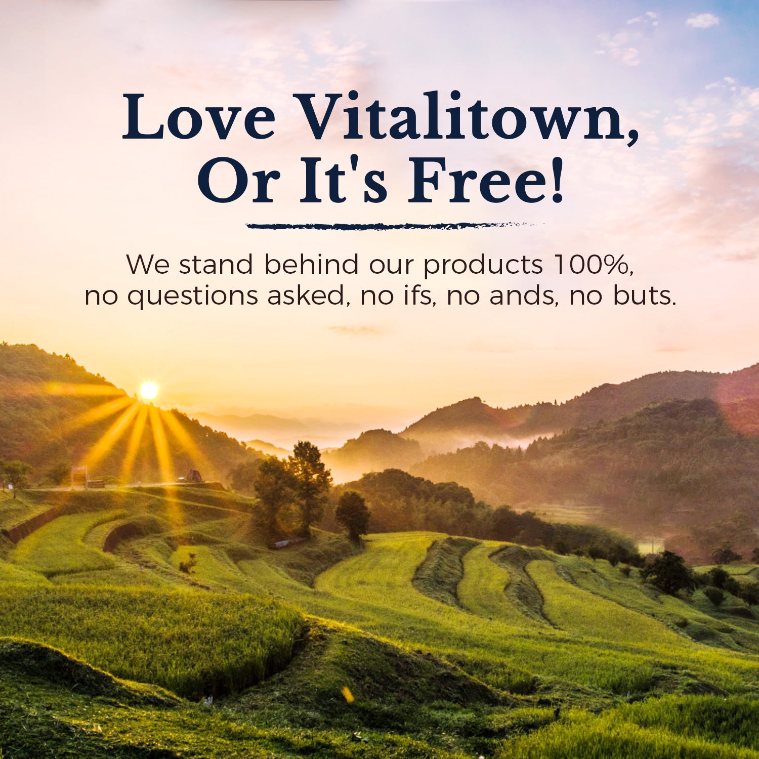 We stand behind our products 100%, no questions asked, no ifs, no ands, no buts.